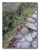 Inca-Hiking-Trail-To-Machu-Picchu-Peru-278