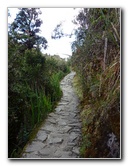 Inca-Hiking-Trail-To-Machu-Picchu-Peru-282