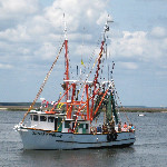 Isle of Eight Flags Shrimp Festival - Fernandina Beach, FL