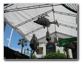 Isle-of-Eight-Flags-Shrimp-Festival-Fernandina-Beach-FL-010