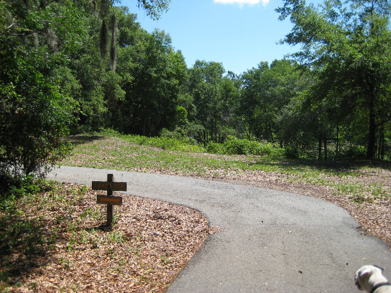 Jacksonville-Arboretum-and-Gardens-Jacksonville-FL-007