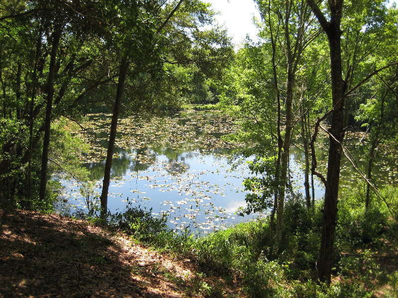 Jacksonville-Arboretum-and-Gardens-Jacksonville-FL-011