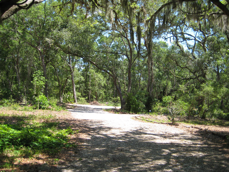 Jacksonville-Arboretum-and-Gardens-Jacksonville-FL-012