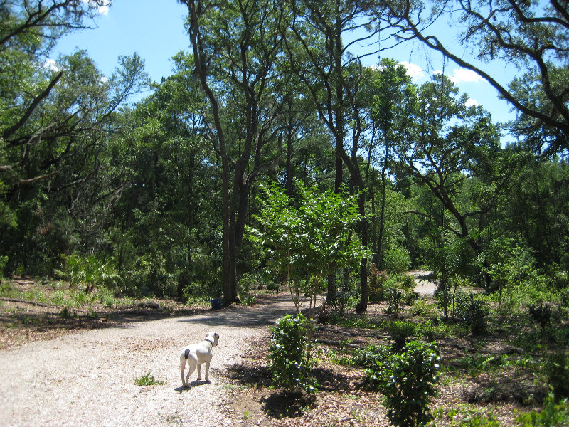 Jacksonville-Arboretum-and-Gardens-Jacksonville-FL-013