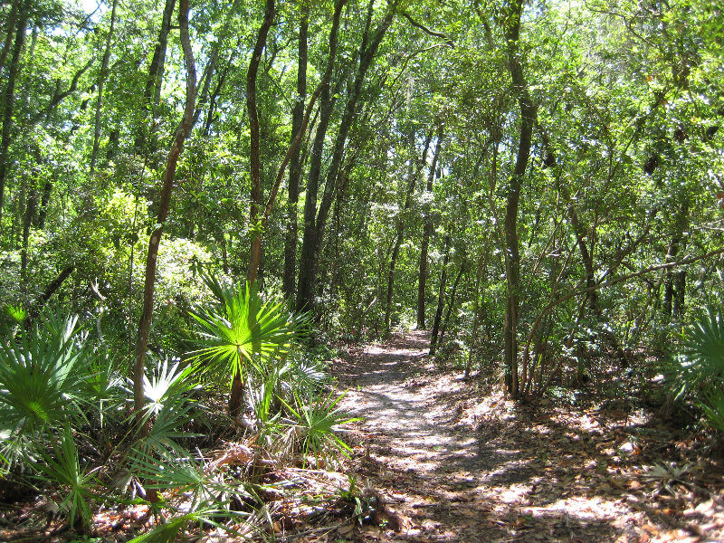 Jacksonville-Arboretum-and-Gardens-Jacksonville-FL-021