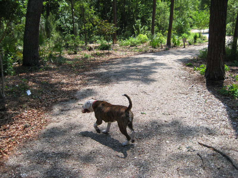 Jacksonville-Arboretum-and-Gardens-Jacksonville-FL-023