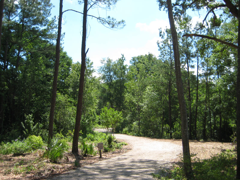 Jacksonville-Arboretum-and-Gardens-Jacksonville-FL-024