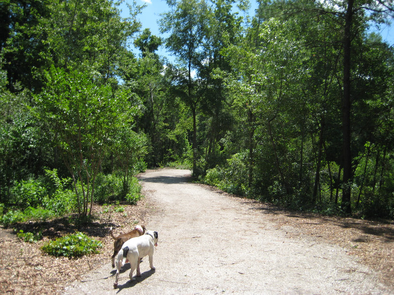 Jacksonville-Arboretum-and-Gardens-Jacksonville-FL-025