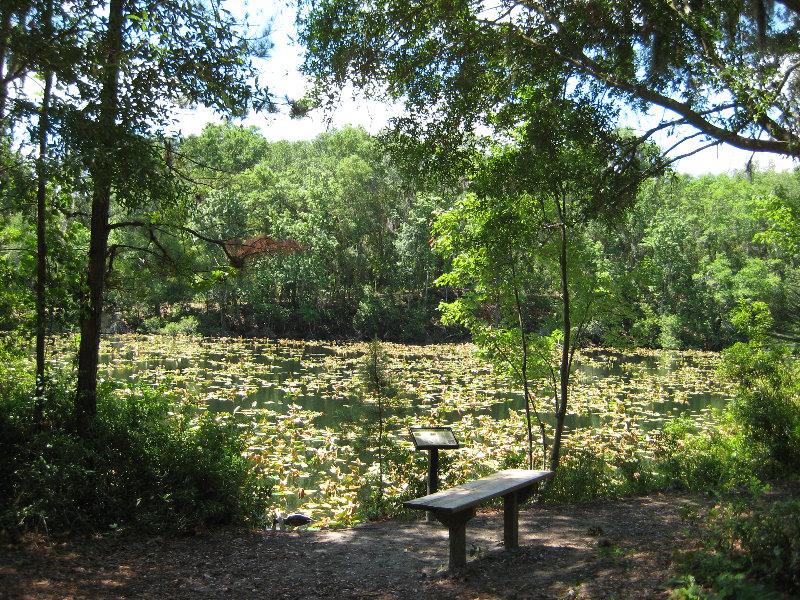 Jacksonville-Arboretum-and-Gardens-Jacksonville-FL-026
