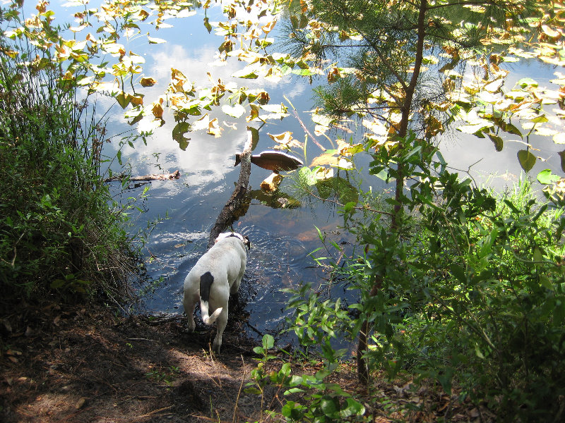 Jacksonville-Arboretum-and-Gardens-Jacksonville-FL-028