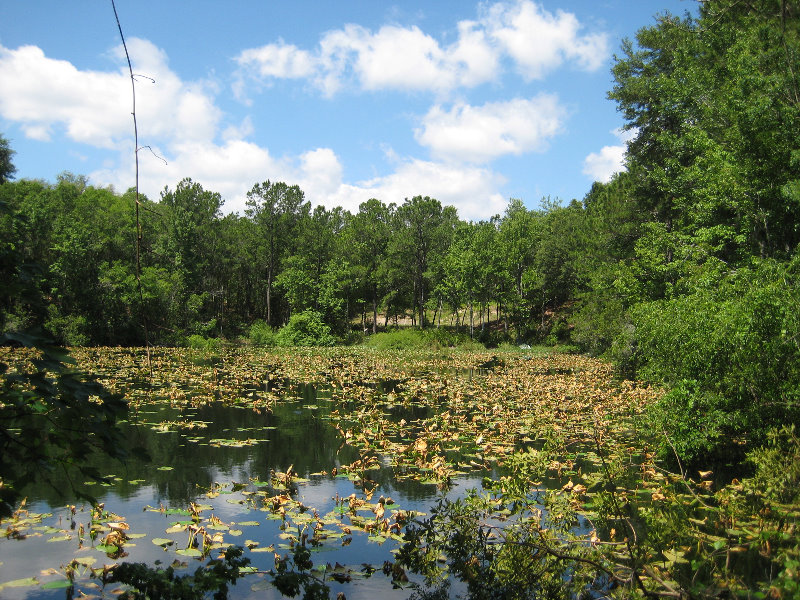 Jacksonville-Arboretum-and-Gardens-Jacksonville-FL-031