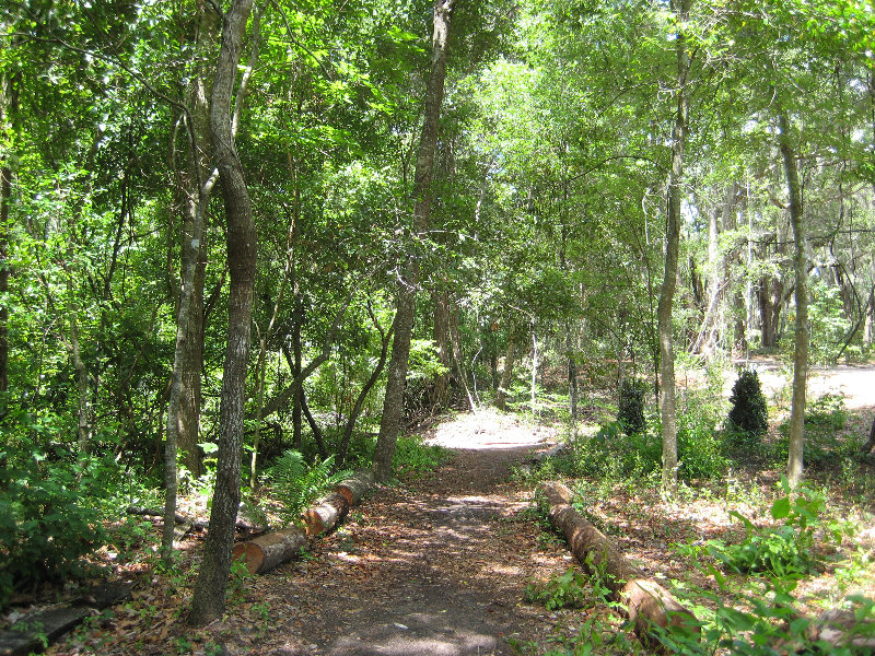 Jacksonville-Arboretum-and-Gardens-Jacksonville-FL-033