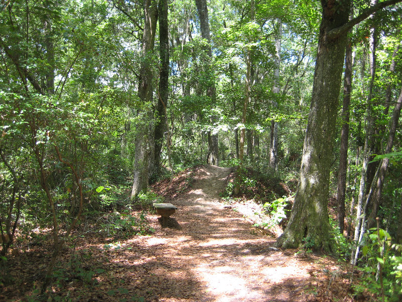 Jacksonville-Arboretum-and-Gardens-Jacksonville-FL-043