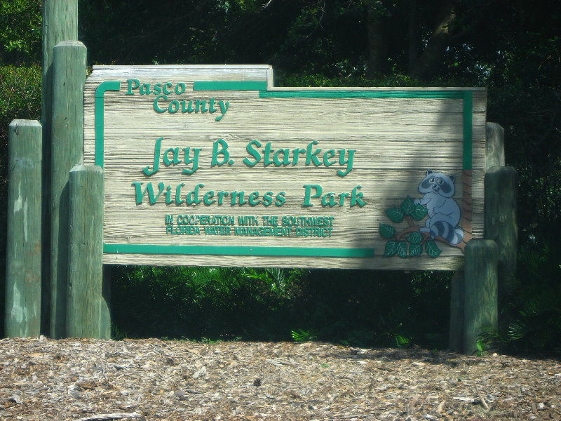 Jay-B-Starkey-Wilderness-Park-Pasco-County-FL-001