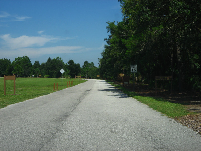 Jay-B-Starkey-Wilderness-Park-Pasco-County-FL-002