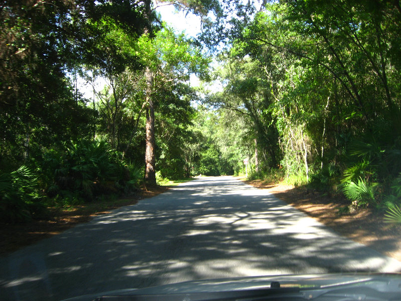 Jay-B-Starkey-Wilderness-Park-Pasco-County-FL-003