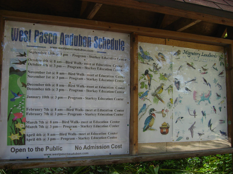 Jay-B-Starkey-Wilderness-Park-Pasco-County-FL-012