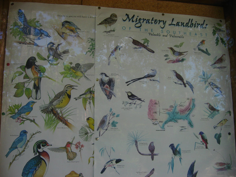 Jay-B-Starkey-Wilderness-Park-Pasco-County-FL-013