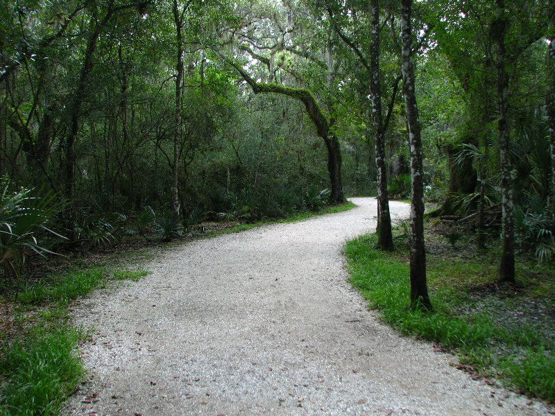 Jay-B-Starkey-Wilderness-Park-Pasco-County-FL-017