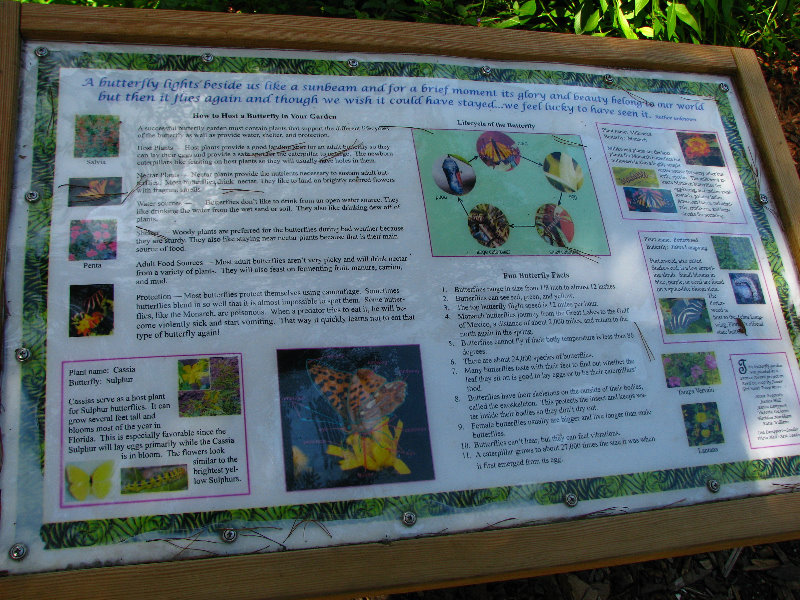 Jay-B-Starkey-Wilderness-Park-Pasco-County-FL-025