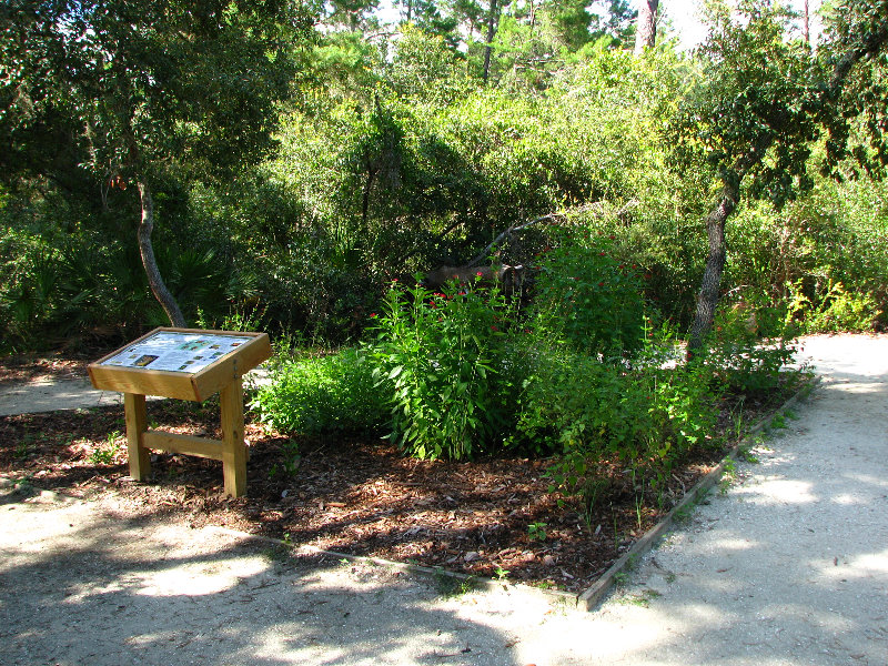 Jay-B-Starkey-Wilderness-Park-Pasco-County-FL-026