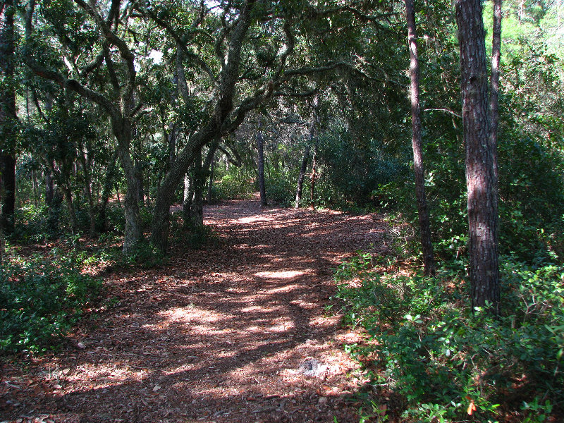 Jay-B-Starkey-Wilderness-Park-Pasco-County-FL-032