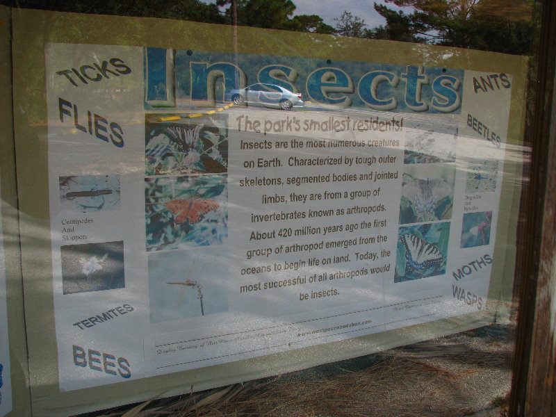 Jay-B-Starkey-Wilderness-Park-Pasco-County-FL-035