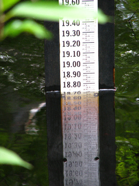 Jay-B-Starkey-Wilderness-Park-Pasco-County-FL-043