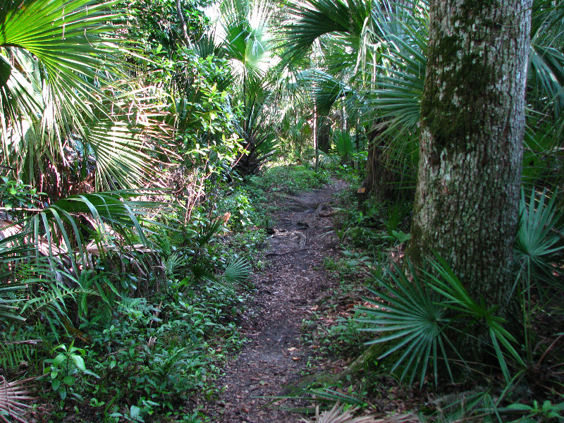 Jay-B-Starkey-Wilderness-Park-Pasco-County-FL-068