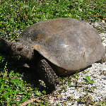 Jay B. Starkey Wilderness Park - Pasco County, FL