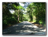 Jay-B-Starkey-Wilderness-Park-Pasco-County-FL-003