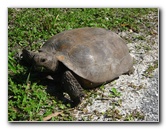 Jay-B-Starkey-Wilderness-Park-Pasco-County-FL-007