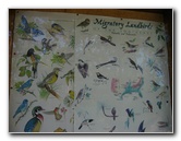 Jay-B-Starkey-Wilderness-Park-Pasco-County-FL-013