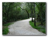 Jay-B-Starkey-Wilderness-Park-Pasco-County-FL-017