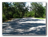 Jay-B-Starkey-Wilderness-Park-Pasco-County-FL-018