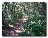 Jay-B-Starkey-Wilderness-Park-Pasco-County-FL-019