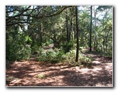 Jay-B-Starkey-Wilderness-Park-Pasco-County-FL-024