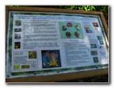 Jay-B-Starkey-Wilderness-Park-Pasco-County-FL-025