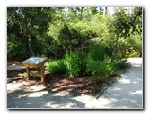 Jay-B-Starkey-Wilderness-Park-Pasco-County-FL-026