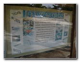 Jay-B-Starkey-Wilderness-Park-Pasco-County-FL-035