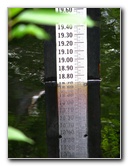 Jay-B-Starkey-Wilderness-Park-Pasco-County-FL-043