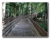Jay-B-Starkey-Wilderness-Park-Pasco-County-FL-044