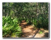 Jay-B-Starkey-Wilderness-Park-Pasco-County-FL-057