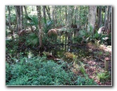 Jay-B-Starkey-Wilderness-Park-Pasco-County-FL-067