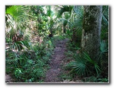 Jay-B-Starkey-Wilderness-Park-Pasco-County-FL-068