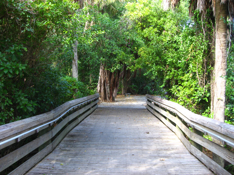 John-D-MacArthur-Beach-State-Park-North-Palm-Beach-FL-017