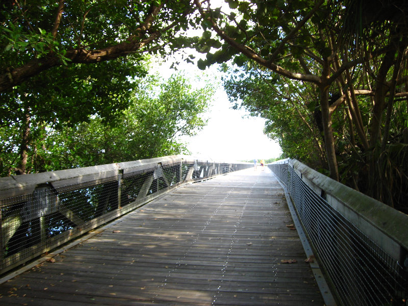 John-D-MacArthur-Beach-State-Park-North-Palm-Beach-FL-020