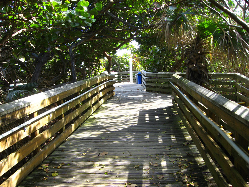 John-D-MacArthur-Beach-State-Park-North-Palm-Beach-FL-029