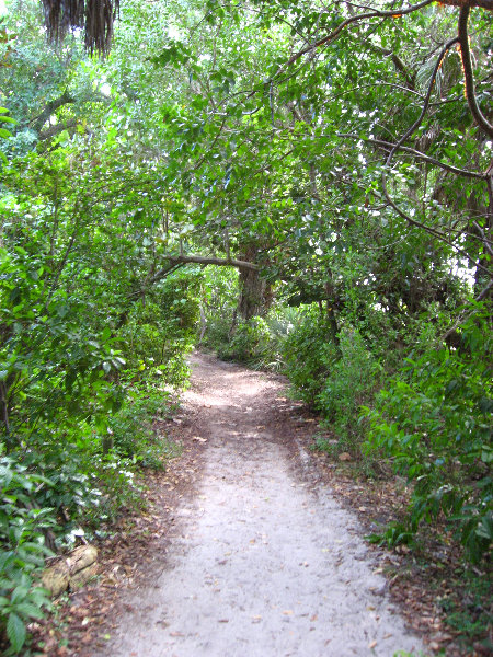 John-D-MacArthur-Beach-State-Park-North-Palm-Beach-FL-036