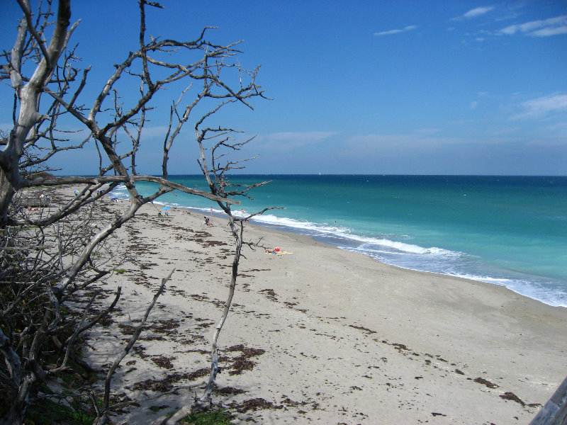 John-D-MacArthur-Beach-State-Park-North-Palm-Beach-FL-042